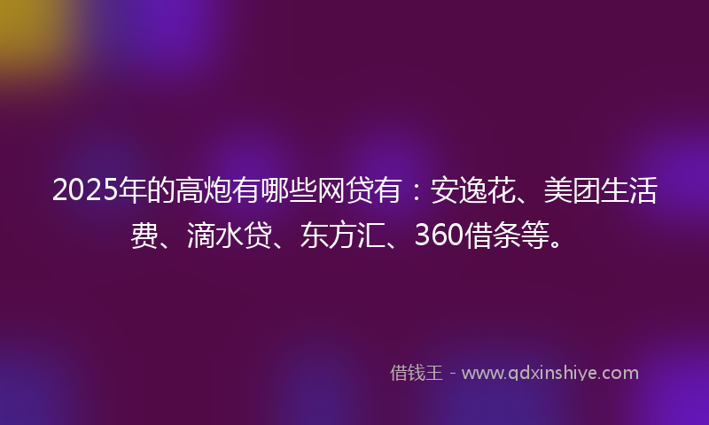 2025年的高炮有哪些网贷有：安逸花、美团生活费、滴水贷、东方汇、360借条等。