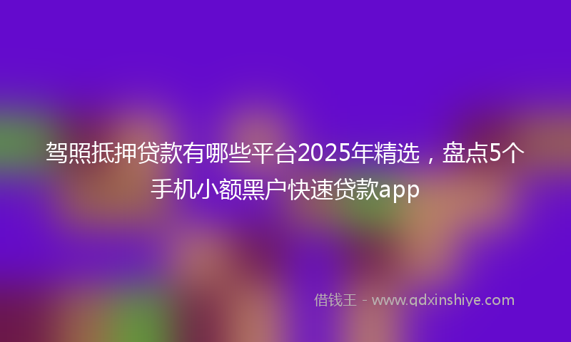 驾照抵押贷款有哪些平台2025年精选，盘点5个手机小额黑户快速贷款app