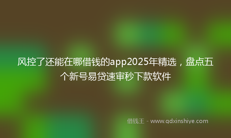 风控了还能在哪借钱的app2025年精选，盘点五个新号易贷速审秒下款软件