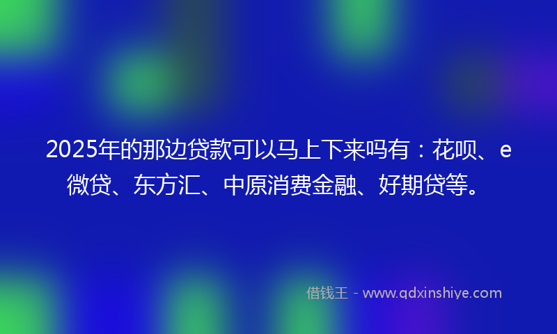 2025年的那边贷款可以马上下来吗有：花呗、e微贷、东方汇、中原消费金融、好期贷等。
