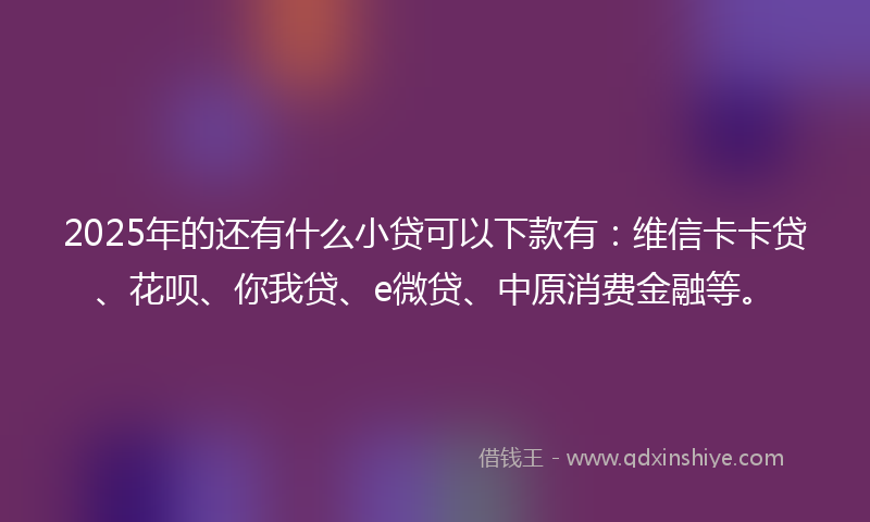 2025年的还有什么小贷可以下款有：维信卡卡贷、花呗、你我贷、e微贷、中原消费金融等。