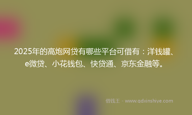2025年的高炮网贷有哪些平台可借有：洋钱罐、e微贷、小花钱包、快贷通、京东金融等。