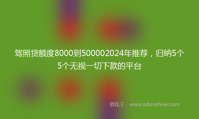 驾照贷额度8000到500002024年推荐，归纳5个5个无视一切下款的平台