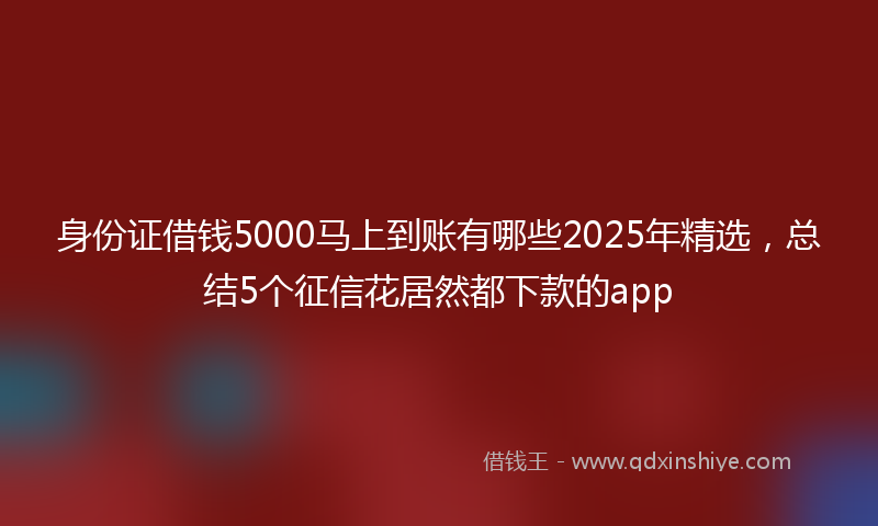 身份证借钱5000马上到账有哪些2025年精选，总结5个征信花居然都下款的app