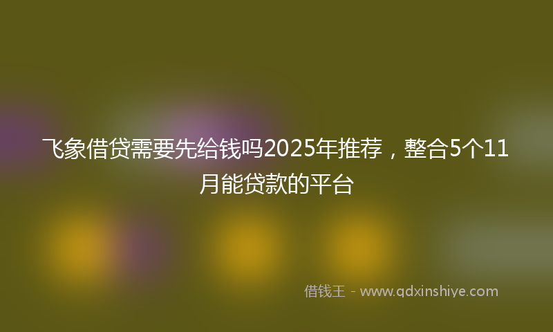 飞象借贷需要先给钱吗2025年推荐，整合5个11月能贷款的平台