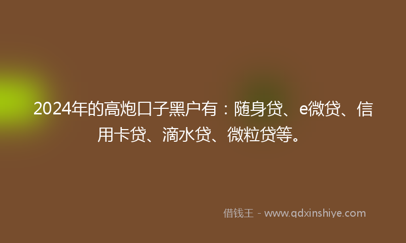 2024年的高炮口子黑户有：随身贷、e微贷、信用卡贷、滴水贷、微粒贷等。
