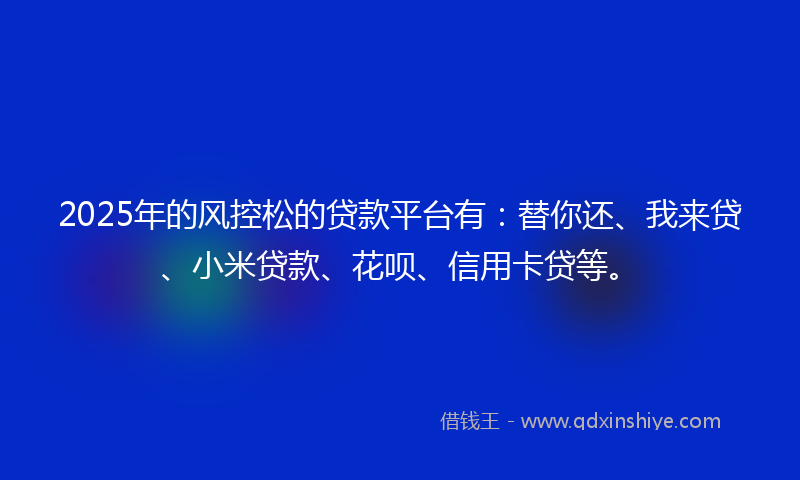 2025年的风控松的贷款平台有：替你还、我来贷、小米贷款、花呗、信用卡贷等。