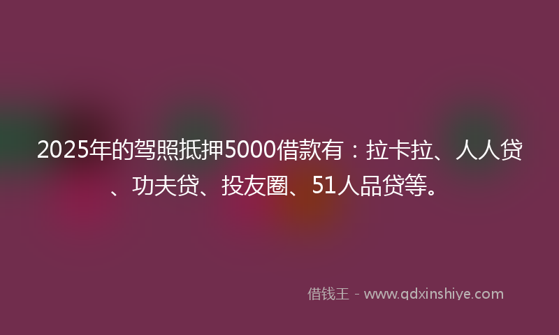 2025年的驾照抵押5000借款有：拉卡拉、人人贷、功夫贷、投友圈、51人品贷等。