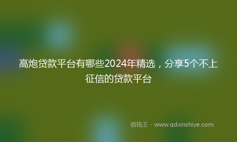 高炮贷款平台有哪些2024年精选，分享5个不上征信的贷款平台