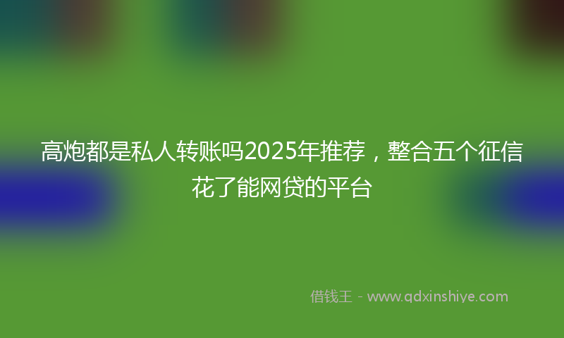 高炮都是私人转账吗2025年推荐，整合五个征信花了能网贷的平台