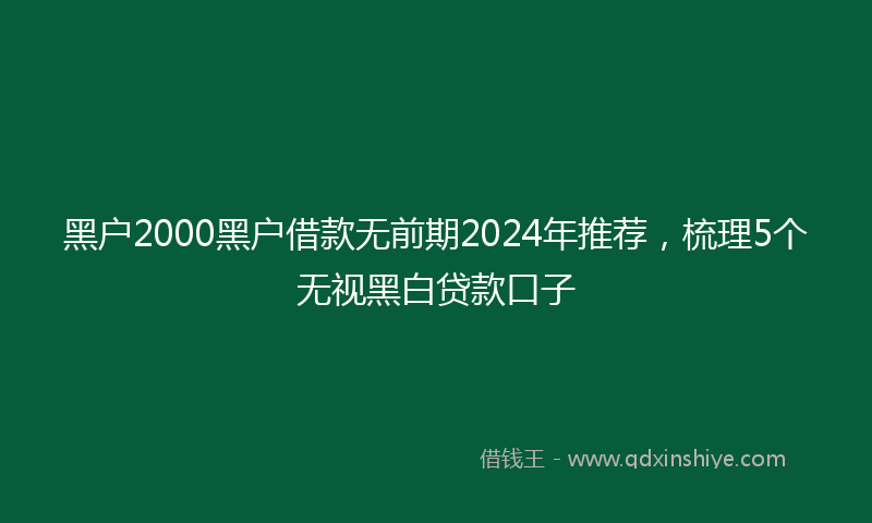 黑户2000黑户借款无前期2024年推荐，梳理5个无视黑白贷款口子