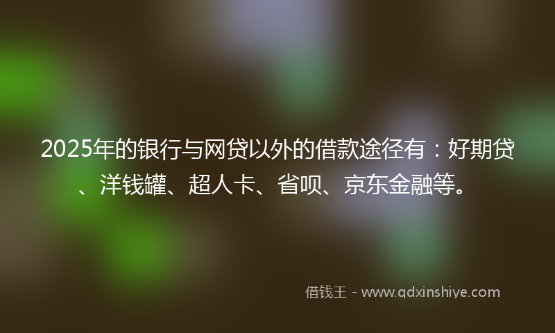 2025年的银行与网贷以外的借款途径有：好期贷、洋钱罐、超人卡、省呗、京东金融等。