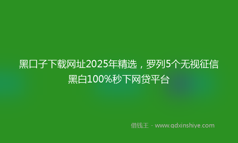 黑口子下载网址2025年精选，罗列5个无视征信黑白100%秒下网贷平台