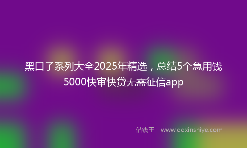 黑口子系列大全2025年精选，总结5个急用钱5000快审快贷无需征信app