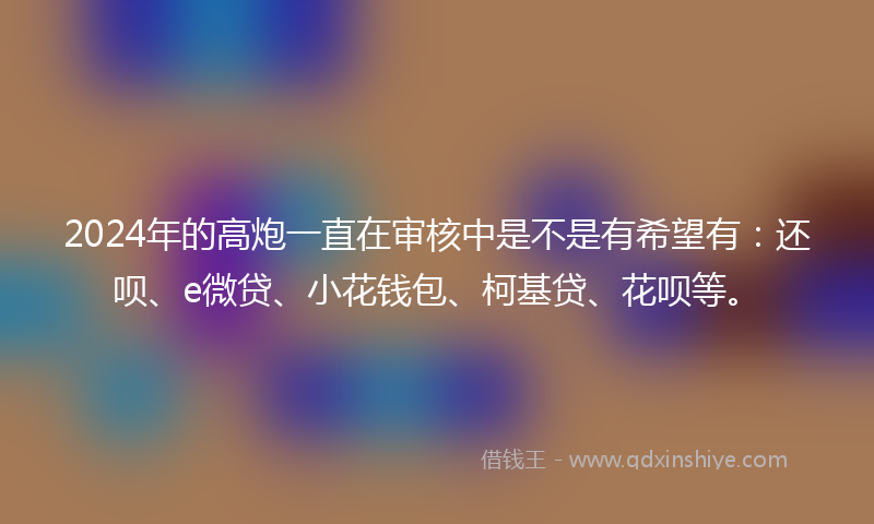2024年的高炮一直在审核中是不是有希望有：还呗、e微贷、小花钱包、柯基贷、花呗等。