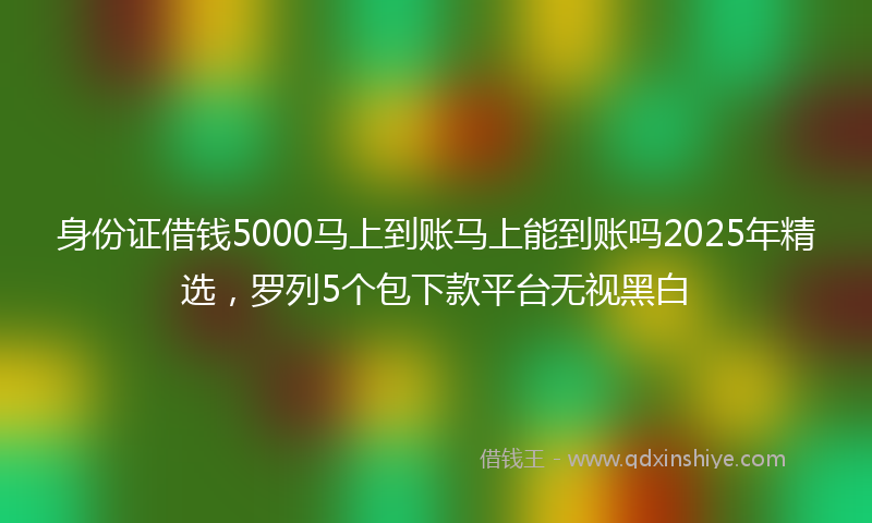 身份证借钱5000马上到账马上能到账吗2025年精选，罗列5个包下款平台无视黑白