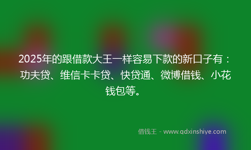 2025年的跟借款大王一样容易下款的新口子有：功夫贷、维信卡卡贷、快贷通、微博借钱、小花钱包等。