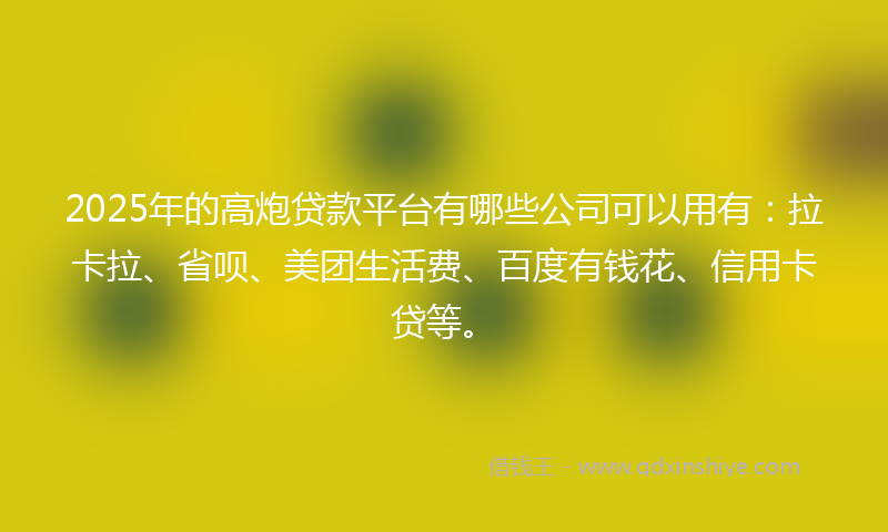 2025年的高炮贷款平台有哪些公司可以用有：拉卡拉、省呗、美团生活费、百度有钱花、信用卡贷等。