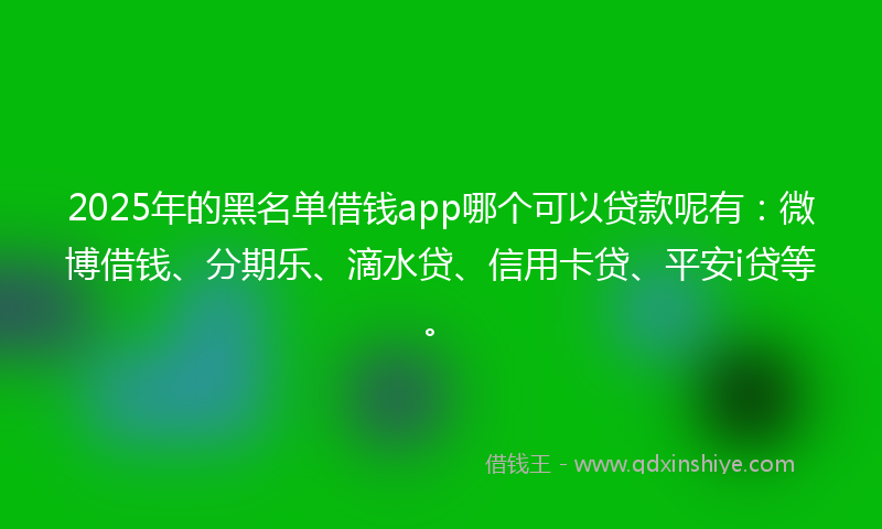 2025年的黑名单借钱app哪个可以贷款呢有：微博借钱、分期乐、滴水贷、信用卡贷、平安i贷等。