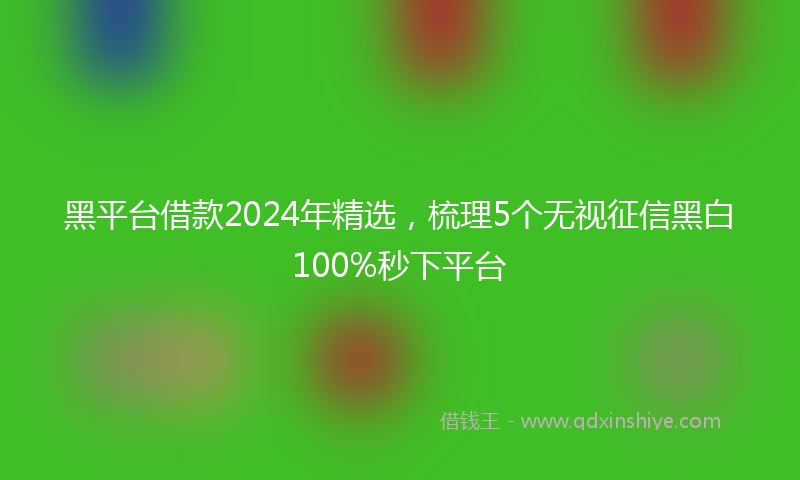 黑平台借款2024年精选，梳理5个无视征信黑白100%秒下平台