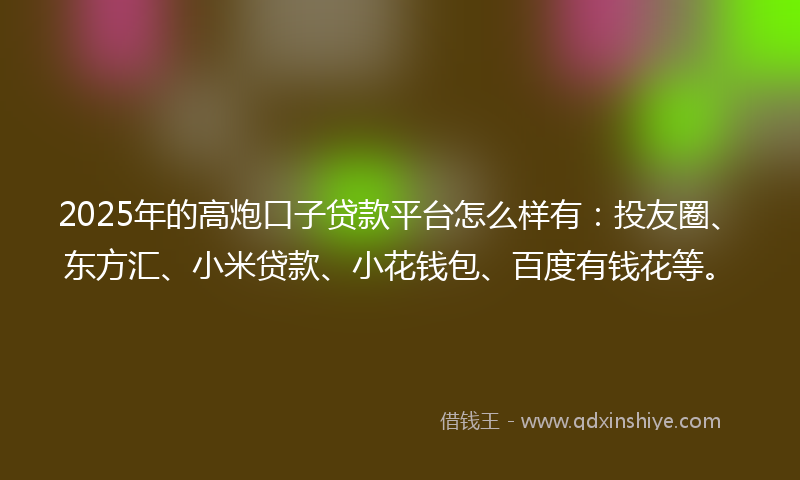 2025年的高炮口子贷款平台怎么样有：投友圈、东方汇、小米贷款、小花钱包、百度有钱花等。