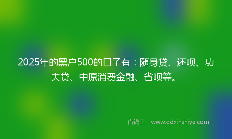 2025年的黑户500的口子有：随身贷、还呗、功夫贷、中原消费金融、省呗等。
