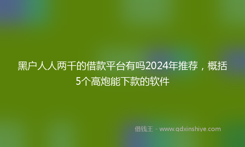 黑户人人两千的借款平台有吗2024年推荐，概括5个高炮能下款的软件