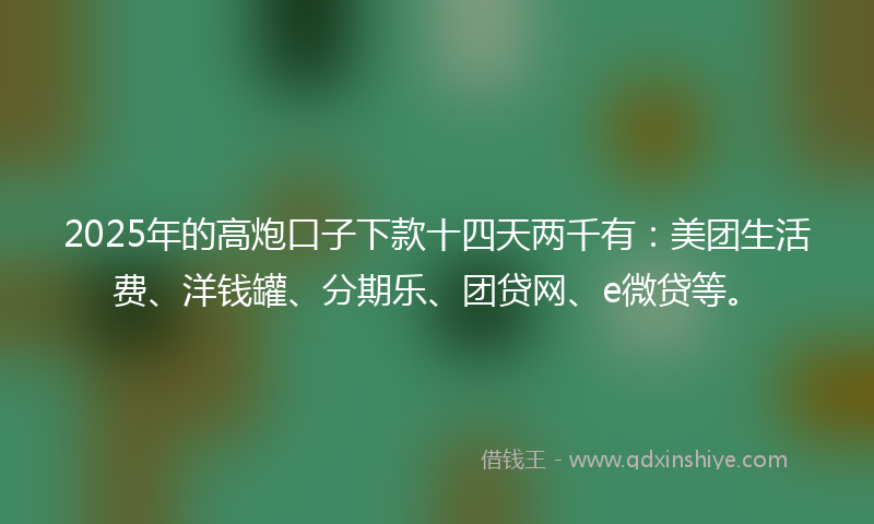 2025年的高炮口子下款十四天两千有：美团生活费、洋钱罐、分期乐、团贷网、e微贷等。