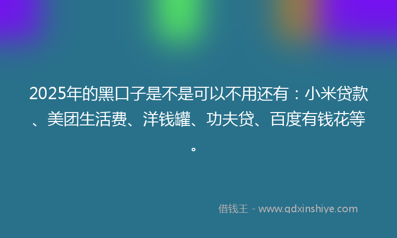 2025年的黑口子是不是可以不用还有：小米贷款、美团生活费、洋钱罐、功夫贷、百度有钱花等。