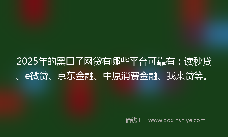 2025年的黑口子网贷有哪些平台可靠有：读秒贷、e微贷、京东金融、中原消费金融、我来贷等。
