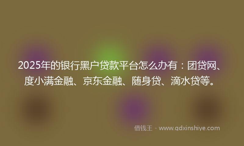 2025年的银行黑户贷款平台怎么办有：团贷网、度小满金融、京东金融、随身贷、滴水贷等。