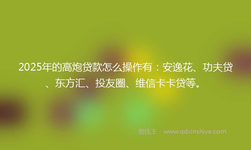 2025年的高炮贷款怎么操作有：安逸花、功夫贷、东方汇、投友圈、维信卡卡贷等。