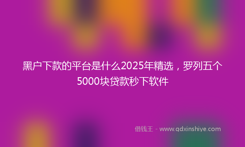 黑户下款的平台是什么2025年精选，罗列五个5000块贷款秒下软件