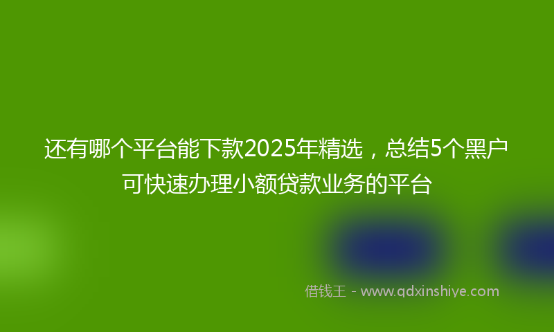 还有哪个平台能下款2025年精选，总结5个黑户可快速办理小额贷款业务的平台