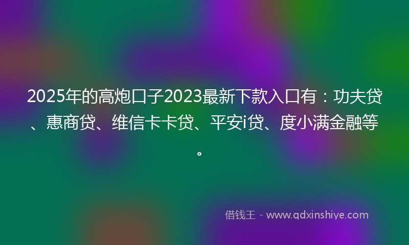 2025年的高炮口子2023最新下款入口有：功夫贷、惠商贷、维信卡卡贷、平安i贷、度小满金融等。