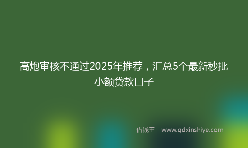 高炮审核不通过2025年推荐，汇总5个最新秒批小额贷款口子