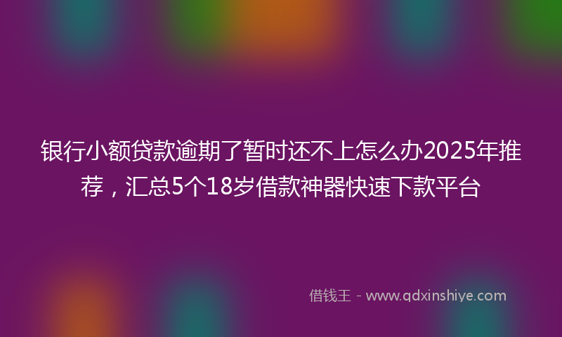 银行小额贷款逾期了暂时还不上怎么办2025年推荐，汇总5个18岁借款神器快速下款平台