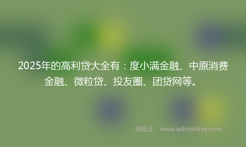 2025年的高利贷大全有：度小满金融、中原消费金融、微粒贷、投友圈、团贷网等。