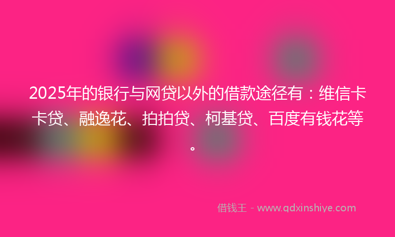 2025年的银行与网贷以外的借款途径有：维信卡卡贷、融逸花、拍拍贷、柯基贷、百度有钱花等。
