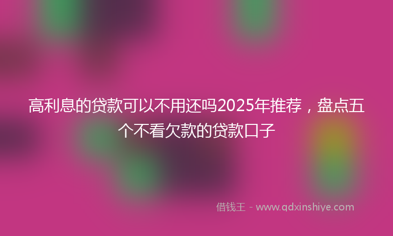 高利息的贷款可以不用还吗2025年推荐，盘点五个不看欠款的贷款口子