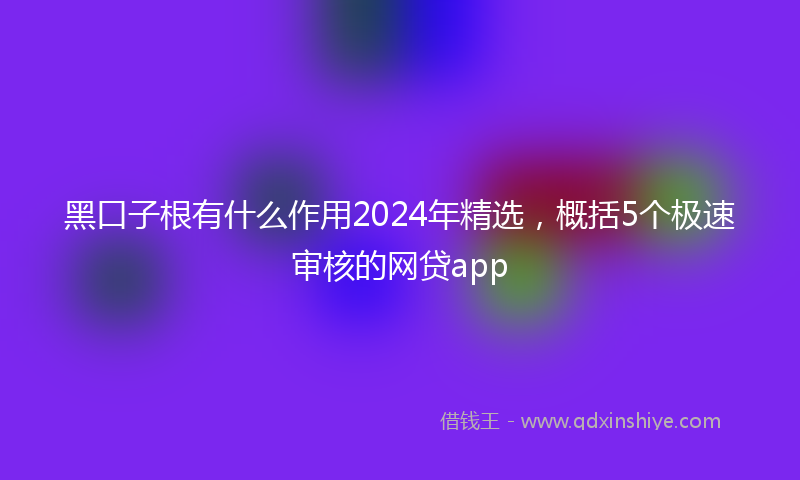 黑口子根有什么作用2024年精选，概括5个极速审核的网贷app