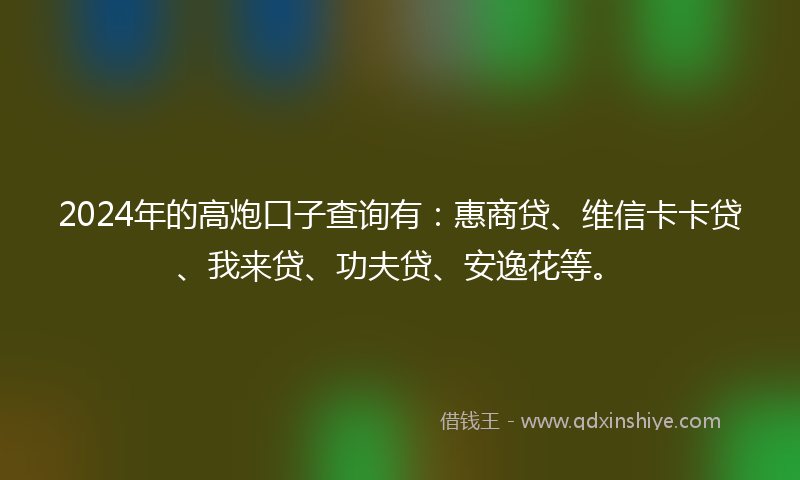 2024年的高炮口子查询有：惠商贷、维信卡卡贷、我来贷、功夫贷、安逸花等。