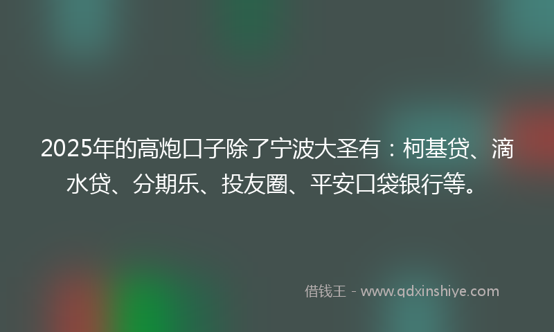 2025年的高炮口子除了宁波大圣有：柯基贷、滴水贷、分期乐、投友圈、平安口袋银行等。