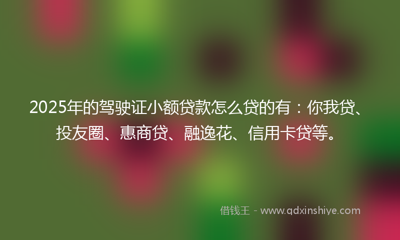 2025年的驾驶证小额贷款怎么贷的有：你我贷、投友圈、惠商贷、融逸花、信用卡贷等。