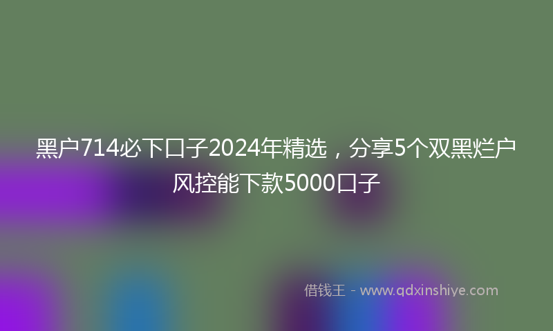 黑户714必下口子2024年精选，分享5个双黑烂户风控能下款5000口子