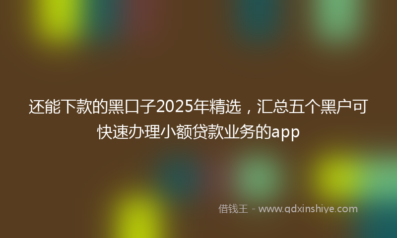 还能下款的黑口子2025年精选，汇总五个黑户可快速办理小额贷款业务的app