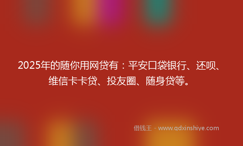 2025年的随你用网贷有：平安口袋银行、还呗、维信卡卡贷、投友圈、随身贷等。