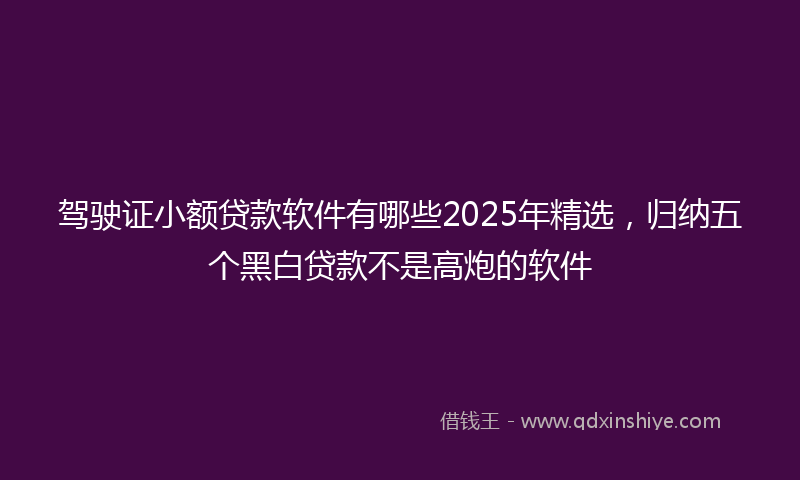 驾驶证小额贷款软件有哪些2025年精选，归纳五个黑白贷款不是高炮的软件