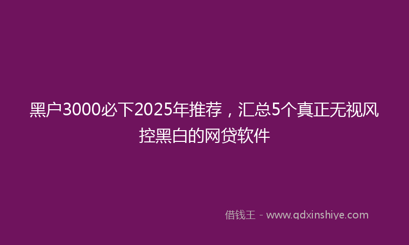 黑户3000必下2025年推荐，汇总5个真正无视风控黑白的网贷软件