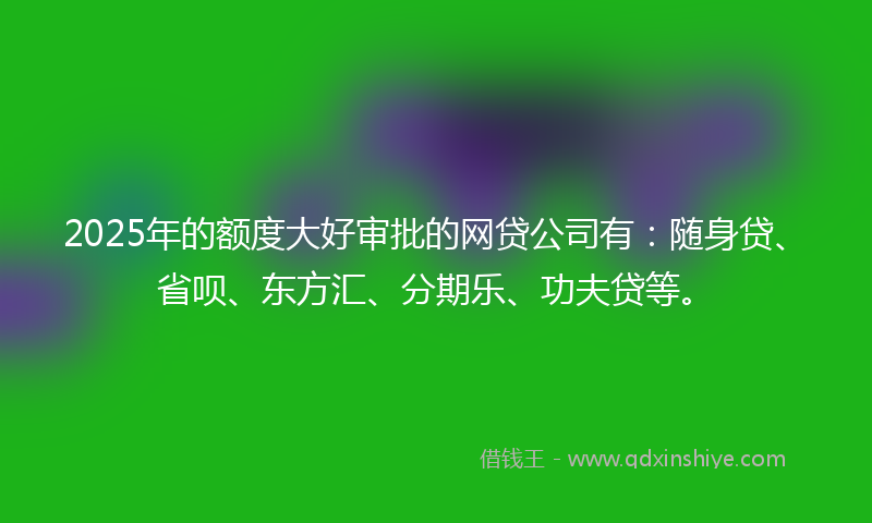 2025年的额度大好审批的网贷公司有：随身贷、省呗、东方汇、分期乐、功夫贷等。